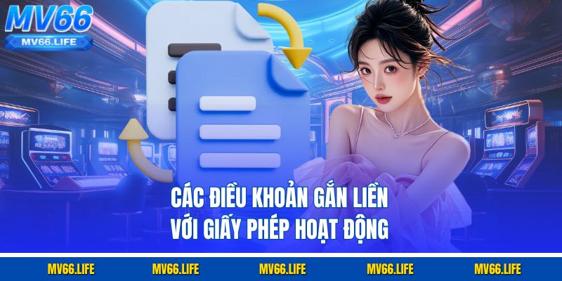 Các điều khoản gắn liền với giấy phép hoạt động