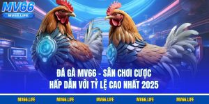 Đá Gà Online MV66 - Sân Chơi Cược Hấp Dẫn Với Tỷ Lệ Cao Nhất 2025