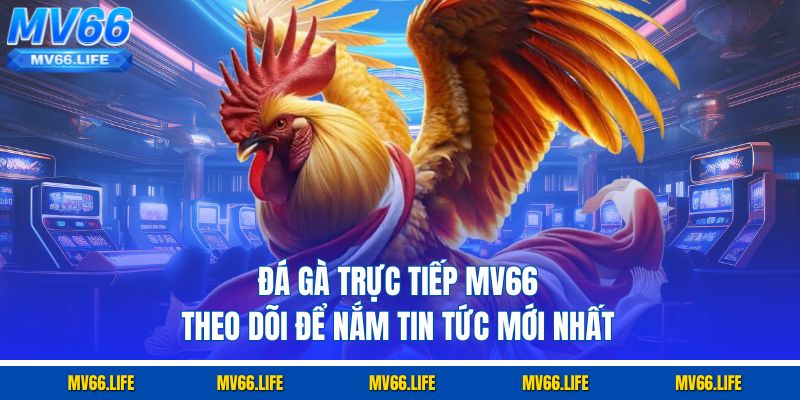 Đá gà trực tiếp MV66 theo dõi để nắm tin tức mới nhất