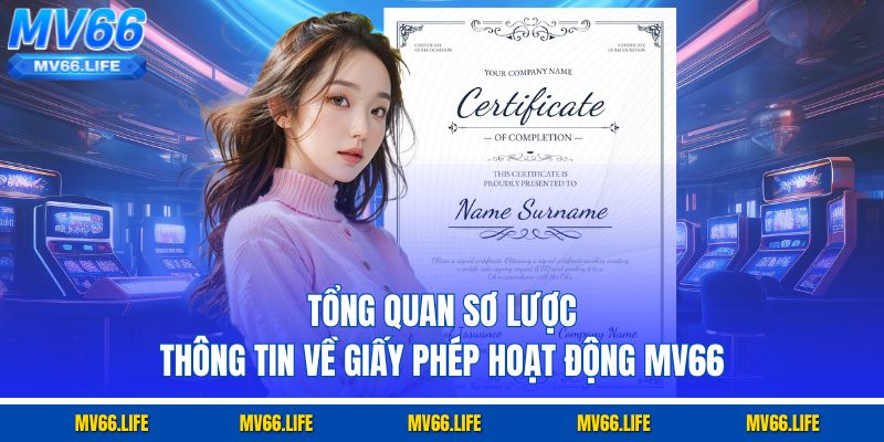 Tổng quan sơ lược thông tin về giấy phép hoạt động MV66
