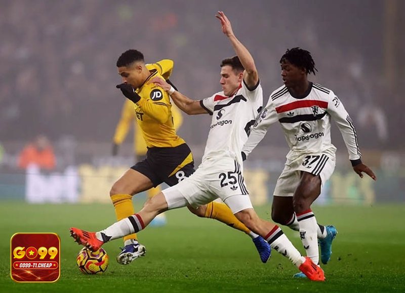 Thể thao SBO - Cược trực tiếp mượt, thao tác đặt kèo tối ưu